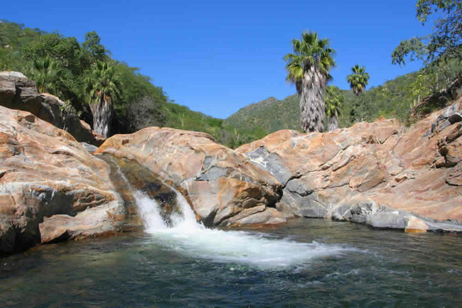 Reserva de la Biosfera La Michilía, Durango Articulos y tips de viaje ...