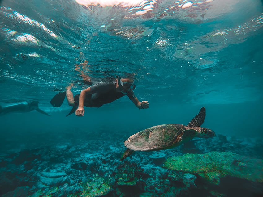 Turismo Submarino En Cozumel