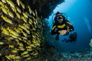 Actividades y deportes en Acapulco