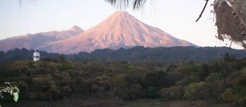 Colima Forests Ecoturismo en Colima Articulos y tips de viaje sobre Playas en Mexico ...