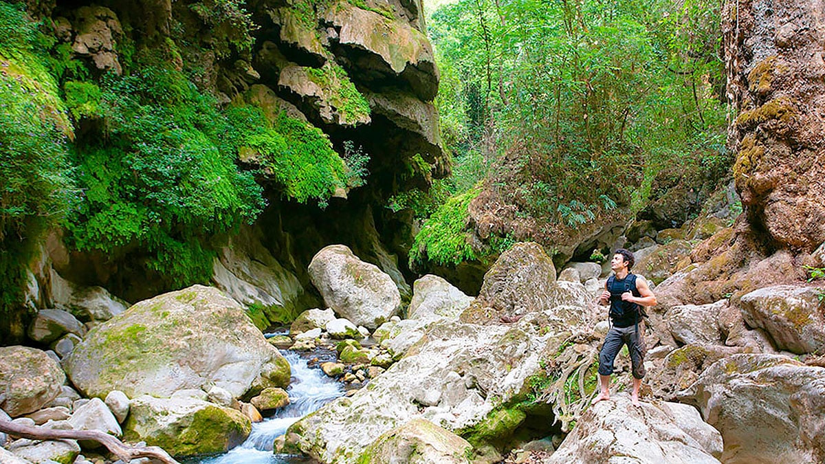 Colima Forests Ecoturismo en Colima Articulos y tips de viaje sobre Playas en Mexico ...