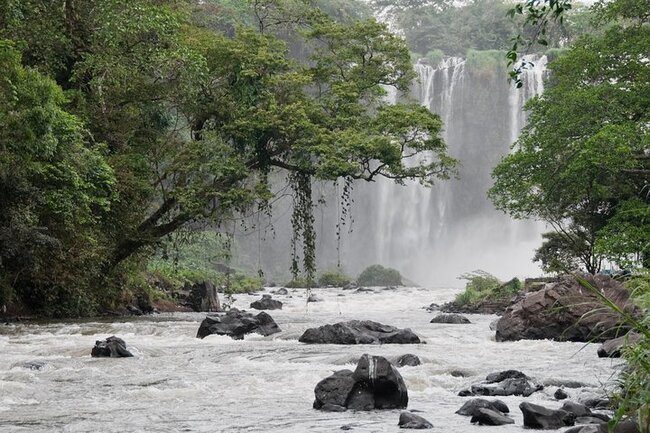 Reserva de la Biósfera Los Tuxtlas, Veracruz Articulos y tips de viaje