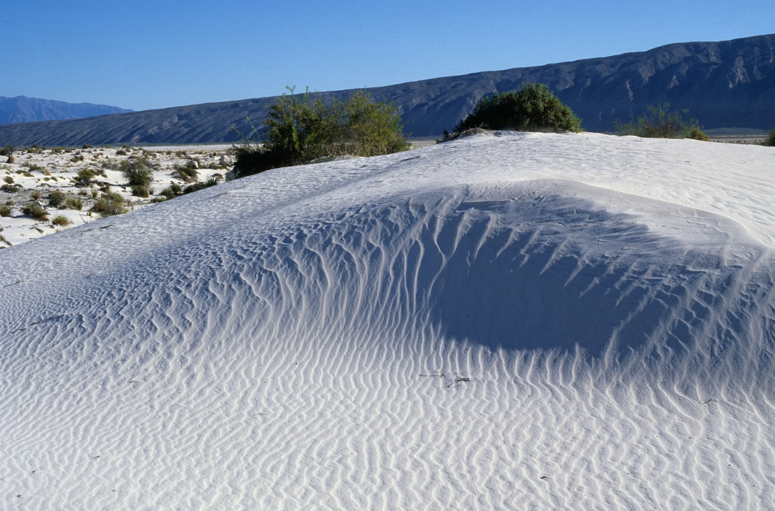Descubre las mejores playas de México para tus vacaciones Descubre las mejores playas de México para tus vacaciones
