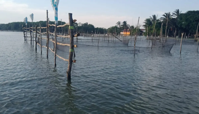 Descubre las mejores playas de México para tus vacaciones Descubre las mejores playas de México para tus vacaciones