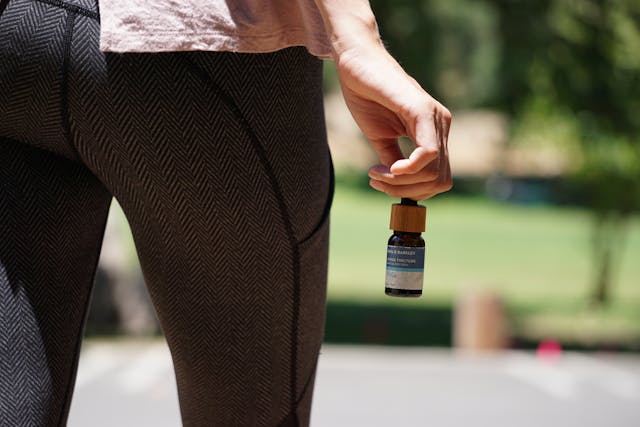 Descubre las mejores playas de México para tus vacaciones Descubre las mejores playas de México para tus vacaciones